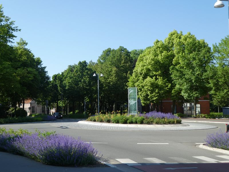 Datei:Am Markt - 27052018.jpg