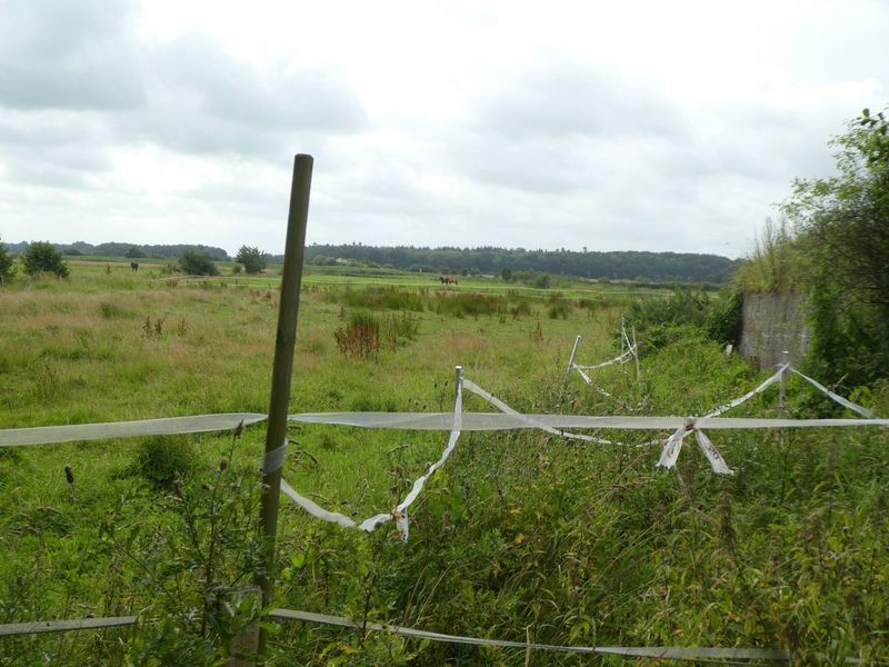 Datei:Alter Postweg Bunker 09082021 06.jpg