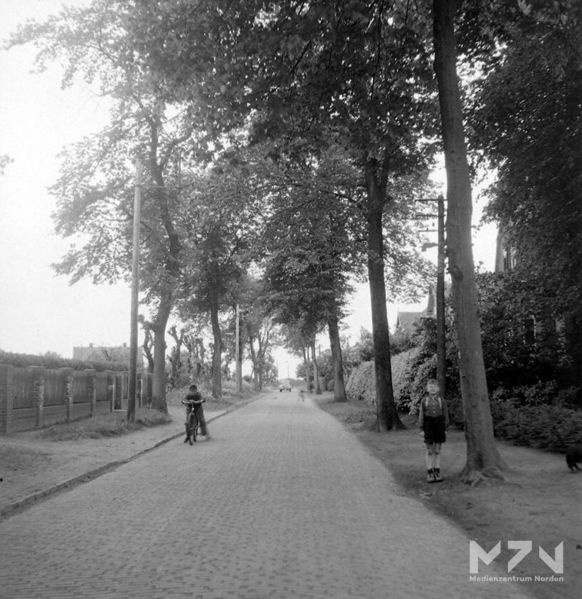 Datei:Parkstraße unbekanntes Datum (0115191) MZ.jpg