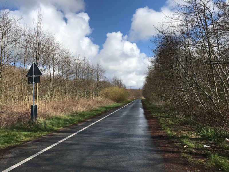 Datei:Altenbuergerlande Strasse 13042021 01.jpg