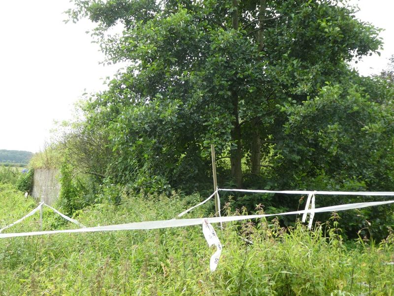 Datei:Alter Postweg Bunker 09082021 05.jpg
