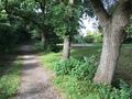 Der Wanderweg am Frisia See mit Spielplatz, hinten links der Weg in Richtung Leipziger Straße - Aufnahme vom 20. September 2021.