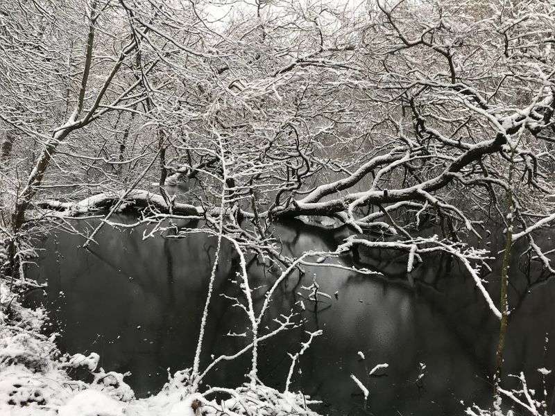 Datei:Hexenkolk (Bild 3).jpg