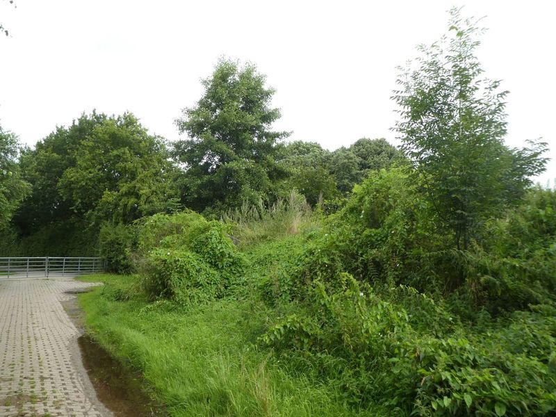 Datei:Alter Postweg Bunker 09082021 01.jpg