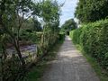 Der Wanderweg am Frisia See, links die Kleingartenkolonie - Aufnahme vom 20. September 2021.