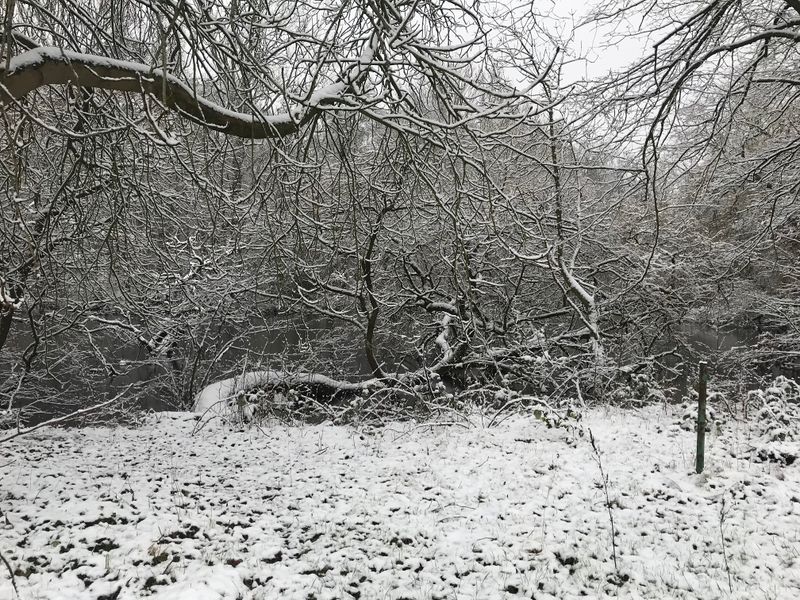 Datei:Hexenkolk (Bild 4).jpg