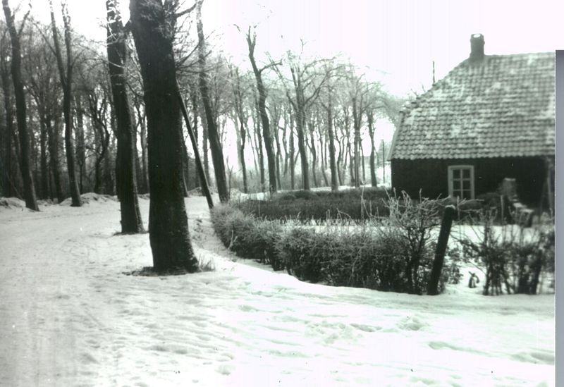 Datei:Parkstraße um 1955 01.jpg