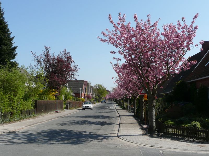 Datei:Hollweg - 19042009.jpg