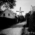 Undatierte Aufnahme mit der Hohen Mühle im Hintergrund.