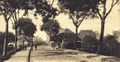 Blick von Süden über die Mühlenbrücke in den Neuen Weg (um 1910).