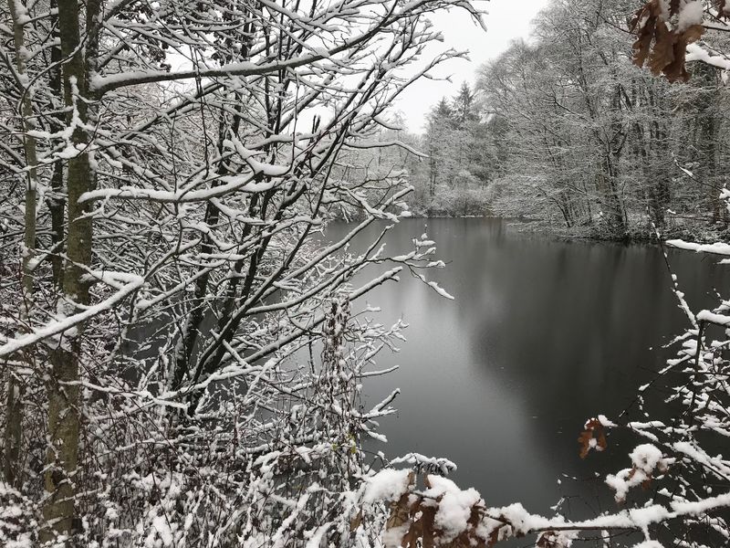 Datei:Hexenkolk (Bild 2).jpg