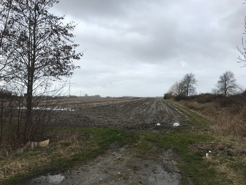 Datei:Vossbarg 15032021 01.jpg