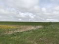 Landschaftsbild.