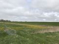 Landschaftsbild.