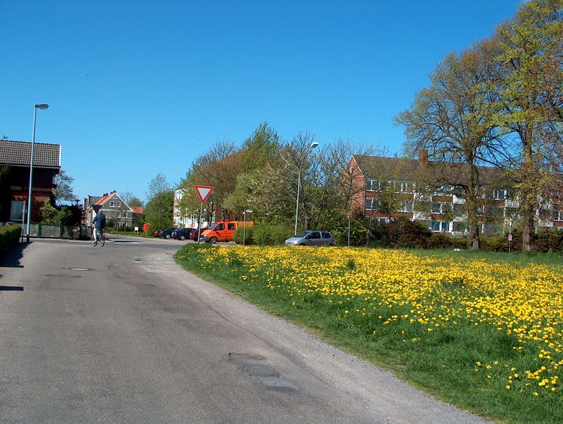 Datei:Diekens Drift - 23042004.jpg