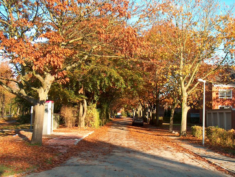 Datei:Huntestraße - 26102003.jpg