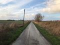 Der Deichrichterweg mit Blickrichtung zum Deich.