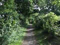 Der Wanderweg am Frisia See mit Blickrichtung zur Erfurter Straße - Aufnahme vom 20. September 2021.