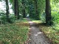 Die Kastanienallee am Ende des Wäldchens mit Blickrichtung zur Linteler Straße - Aufnahme vom 20. September 2021.