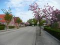 Blick in die Straße (gen Radbodstraße) - Aufnahme vom 2. Mai 2010.