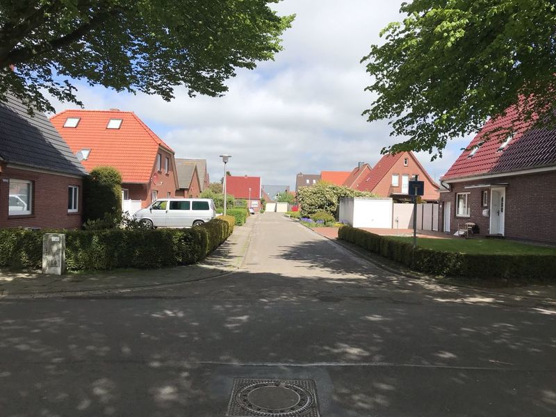 Datei:Pappelweg 15052021 01.jpg