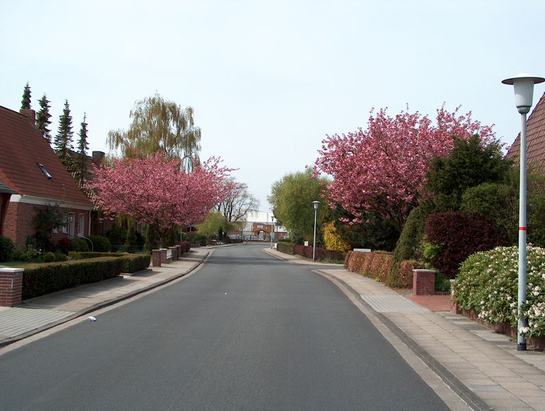 Datei:Amselstraße - 25042004.jpg