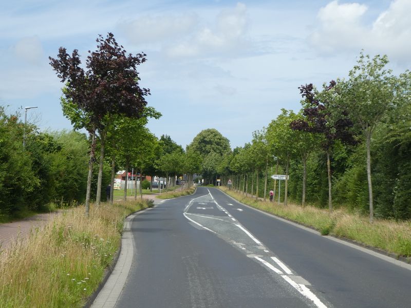 Datei:Im Horst - Blick in die Straße - 30072021 (3).jpg