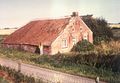 Ein alter Bummert an der Deichstraße (um 1965).