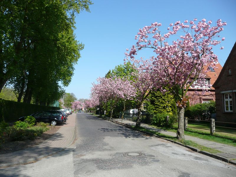 Datei:Am Sportplatz - 19042009.jpg