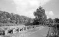 Blick auf den Soldatenfriedhof (September 1953).