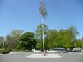 Torfmarkt mit Maibaum - Aufnahme vom 11. Mai 2017.