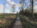 Der Bargeburschloot (rechts) verläuft parallel des Wanderswegs Zum Hexenkolk.