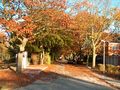 Blick in die Straße im Herbst - Aufnahme vom 26. Oktober 2003.