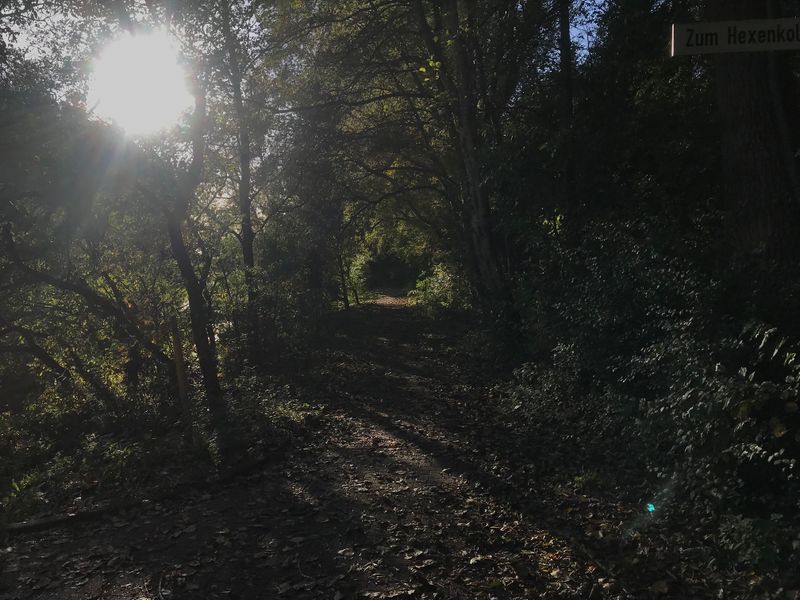 Datei:Derk-de-Haan-Padd Norder Tief Hexenkolk 23 10 2021 01.jpg